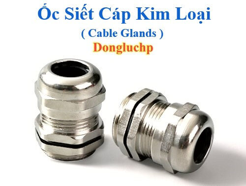 Cable Glands PG9 tên tiếng Việt là ốc siết cáp là phụ kiện khoá cố định dây cáp điện