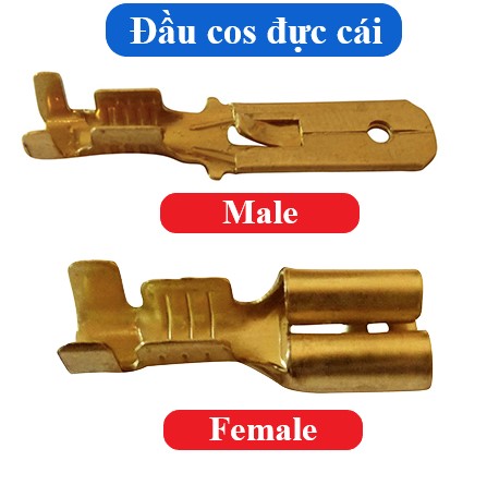 Đầu cos đực cái - cốt bấm nối dây điện bằng đồng giá tốt giao hàng nhanh uy tín - male and female terminal